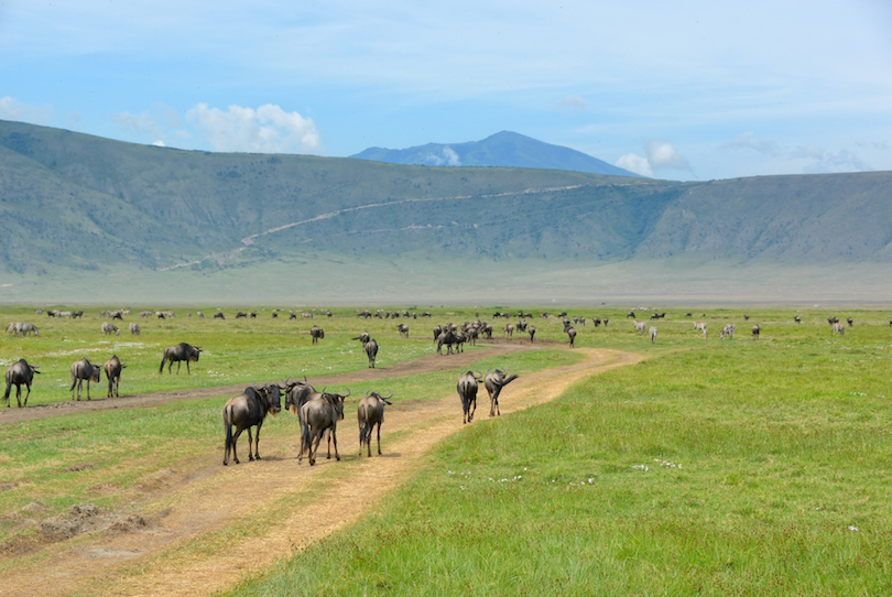 Tanzanie