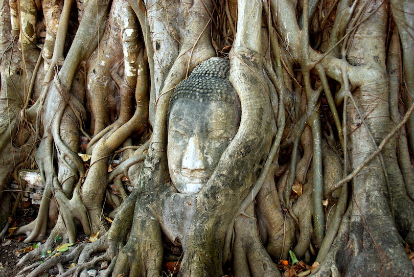 Ayutthaya