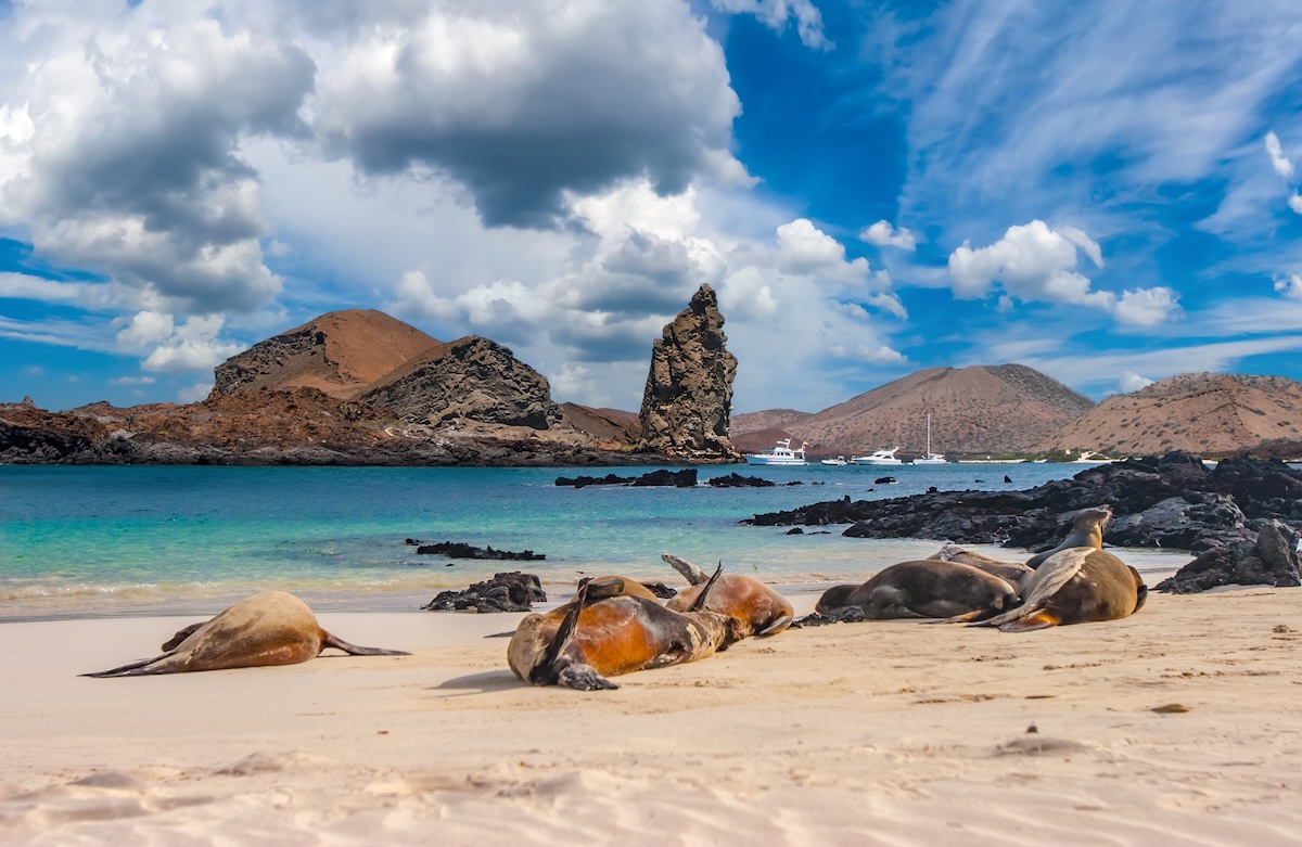 Galapagos