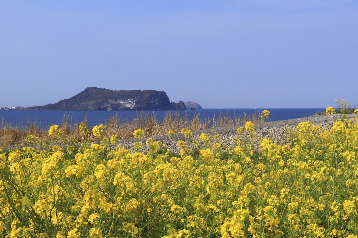 Jeju Island