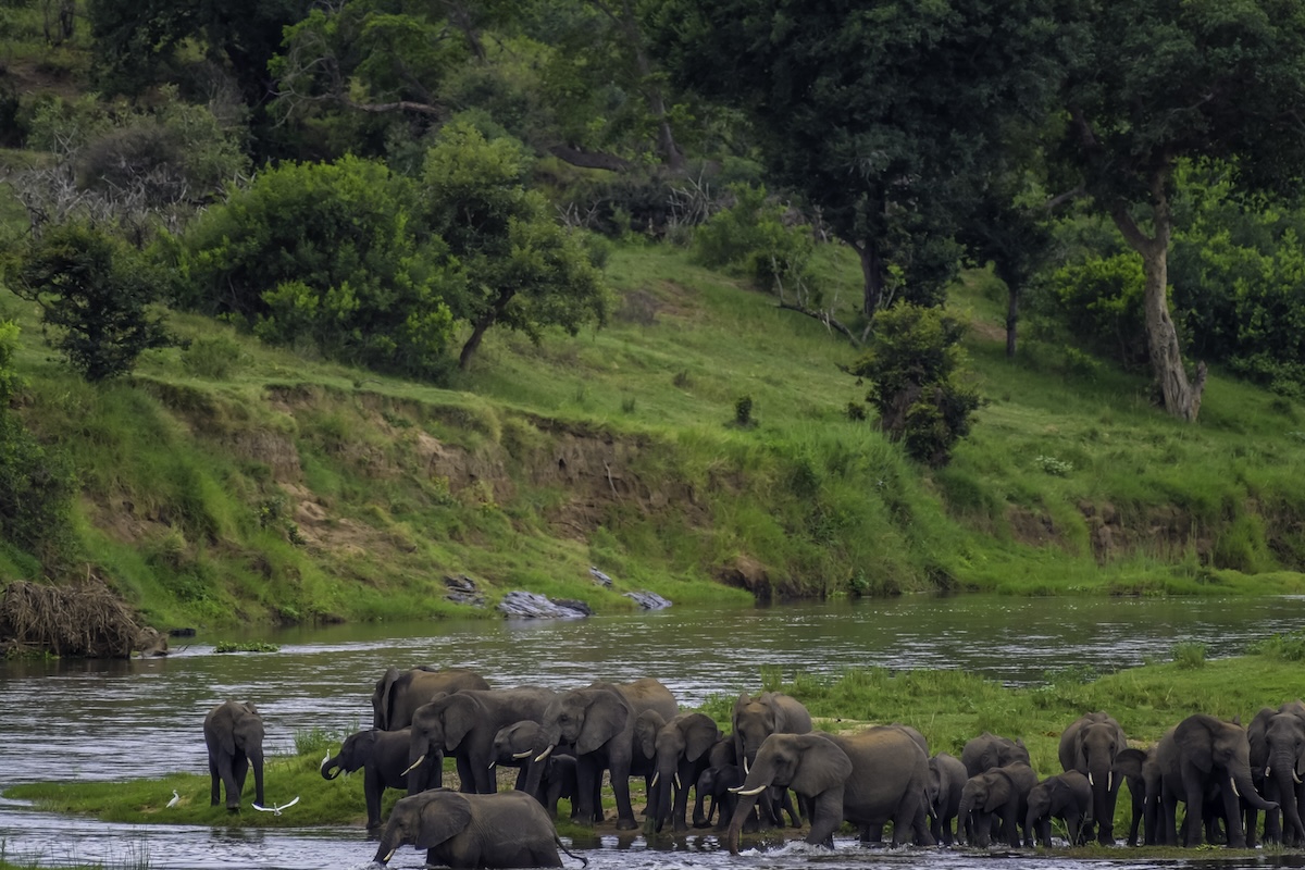 Kruger National Park