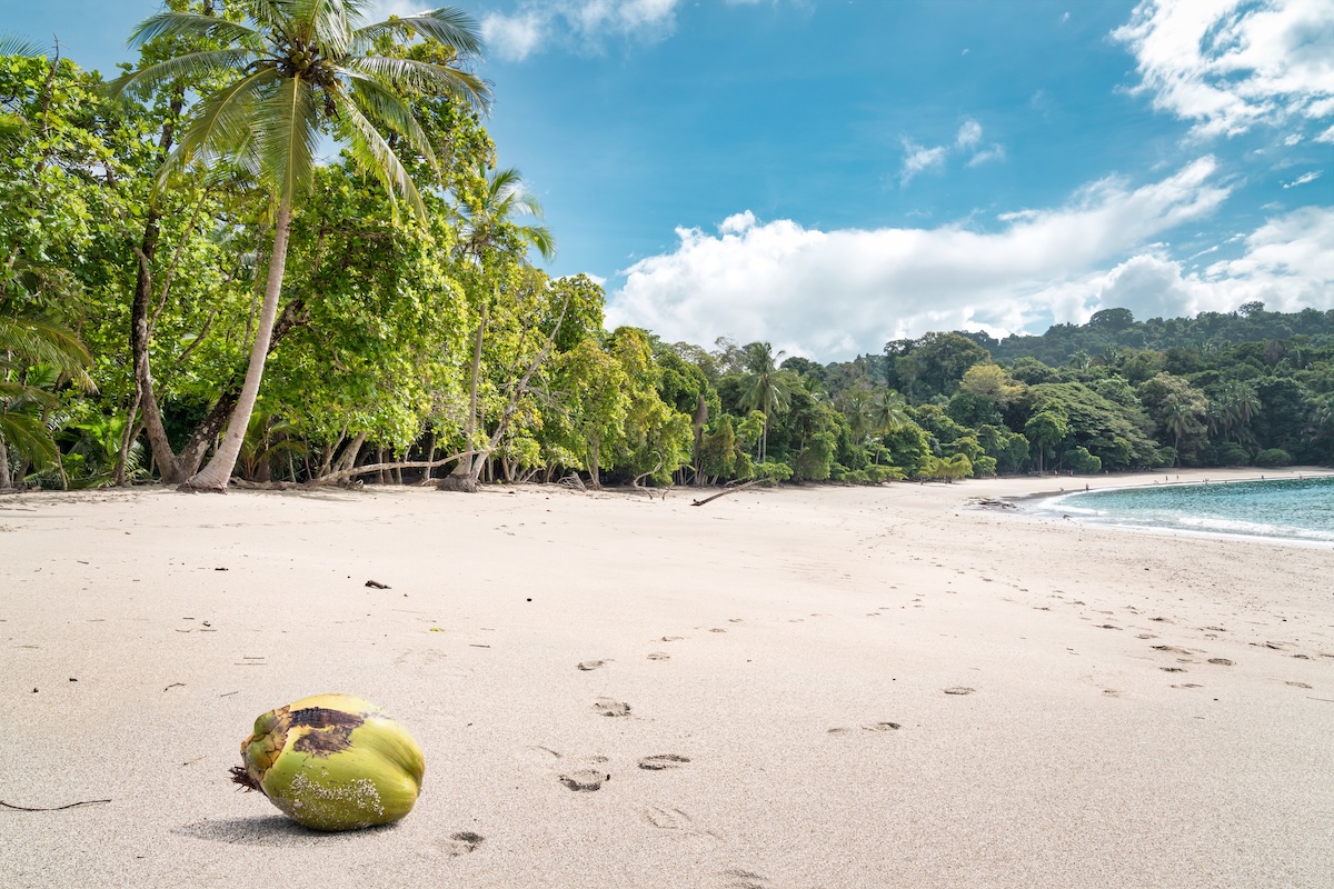 Manuel Antonio National Park