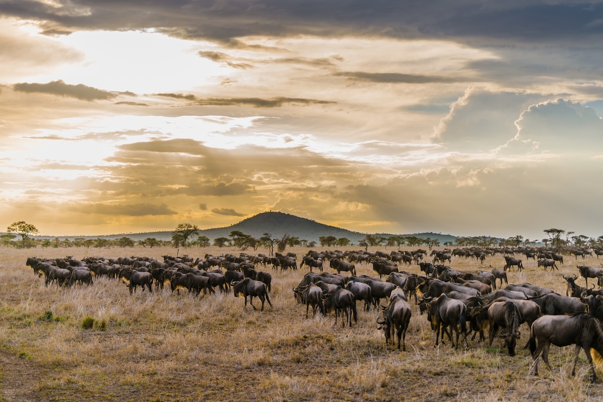 Serengeti National Park