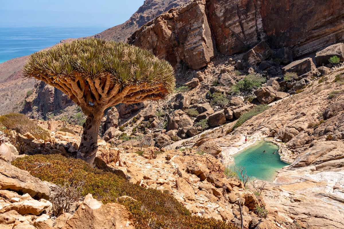 Socotra