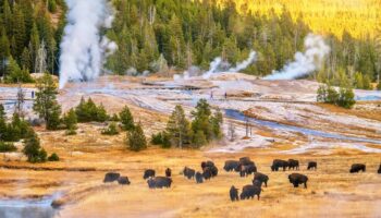 Yellowstone National Park