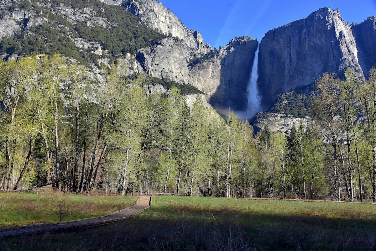 Yosemite National Park