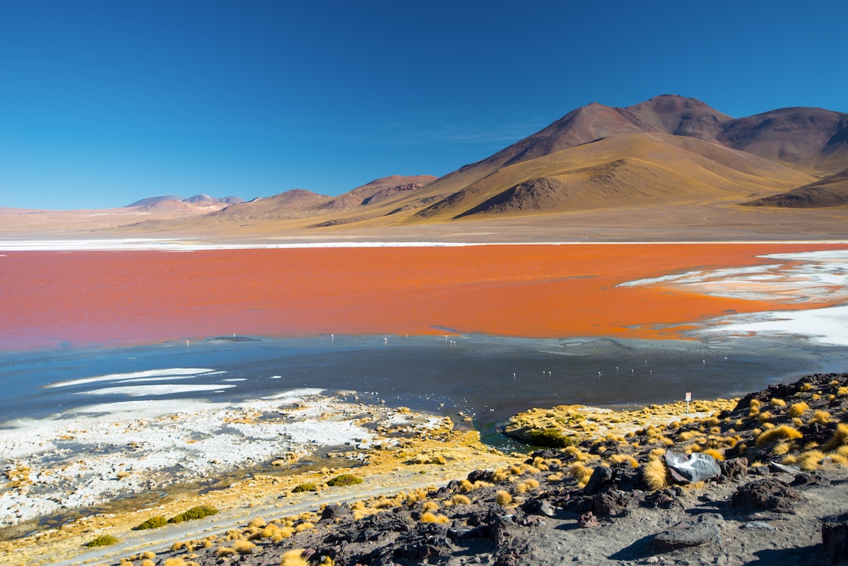 Laguna Colorada