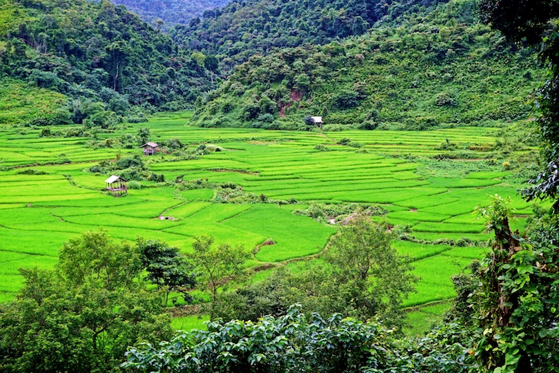 Trekking in Luang Namtha