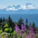 Most Amazing Volcanoes in Alaska