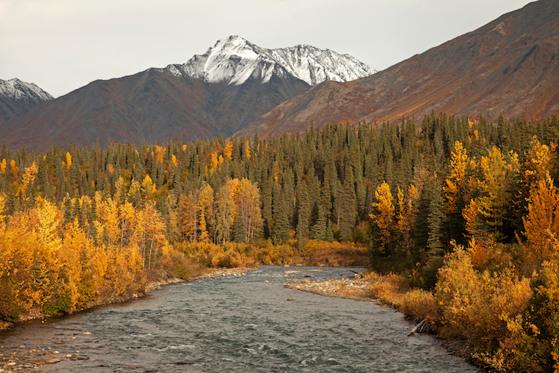 Mount Wrangell