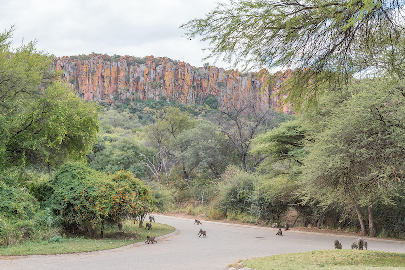 Waterberg