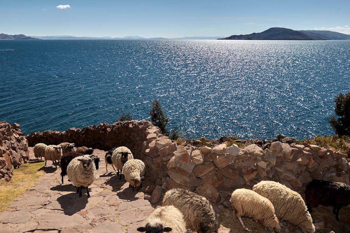 Lake Titicaca