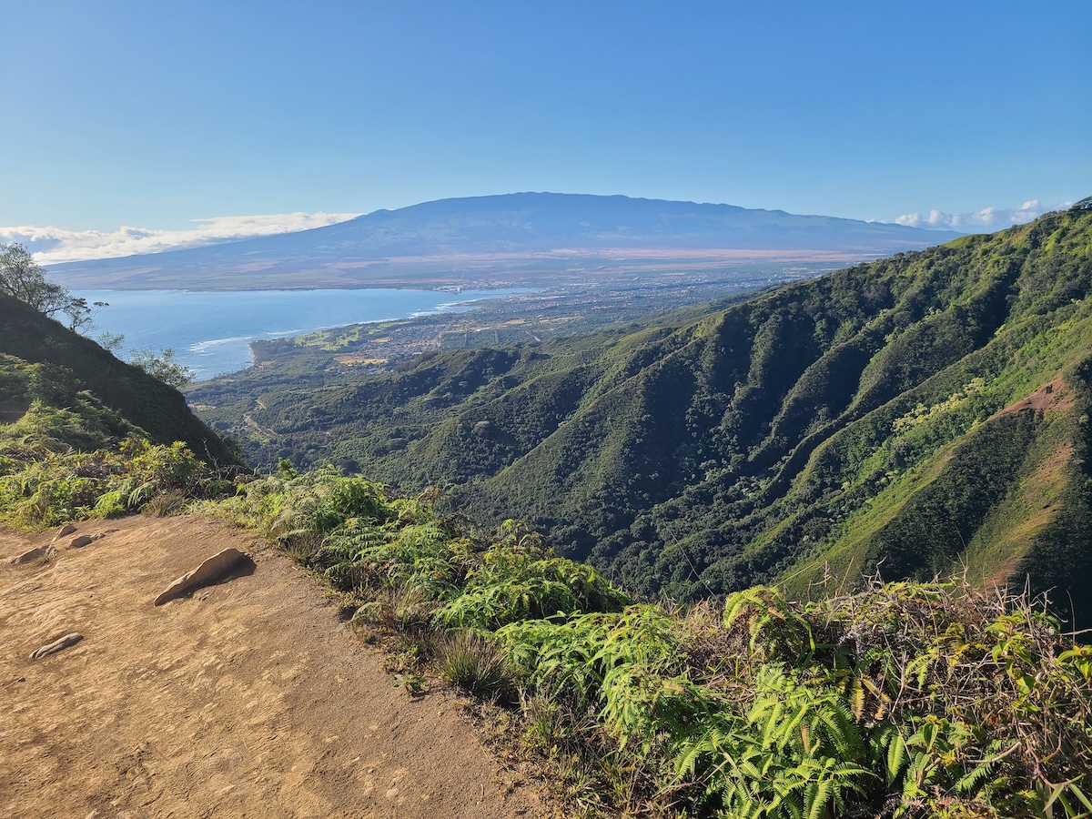 Maui