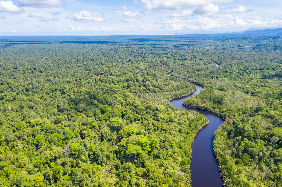 Borneo