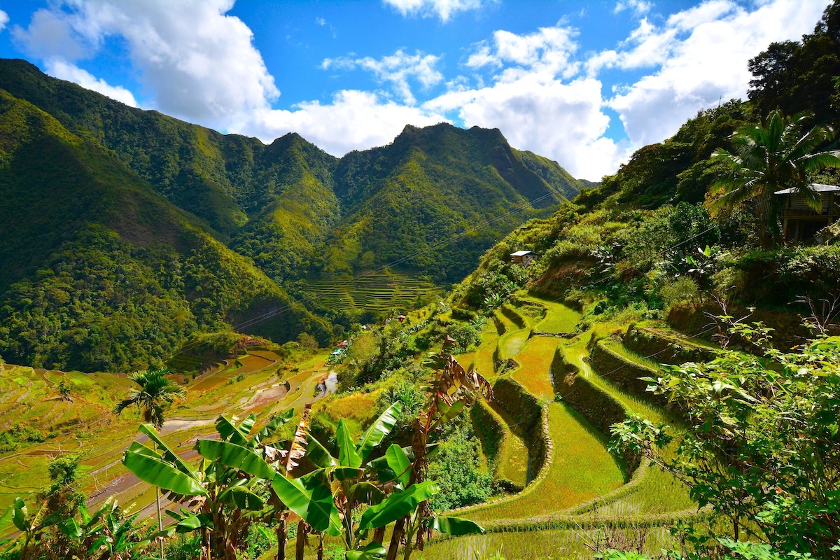 Luzon