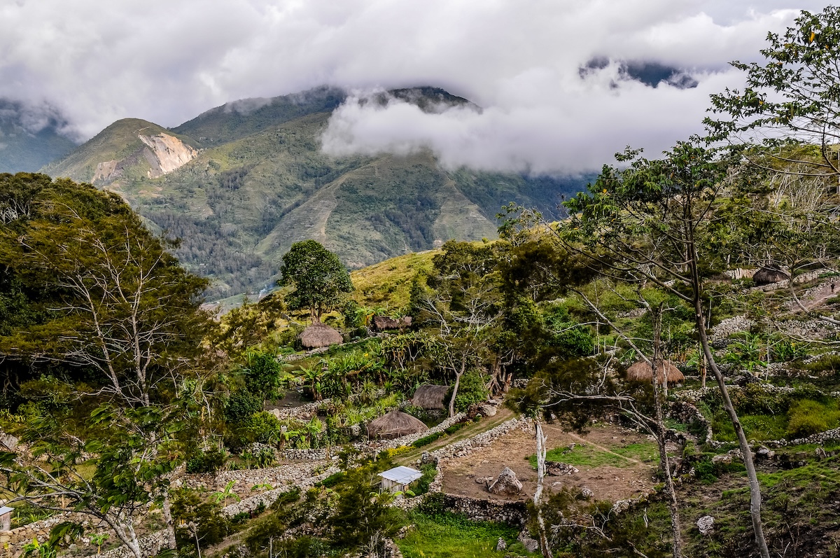 New Guinea