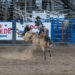 Best Things to do in Cody, Wyoming