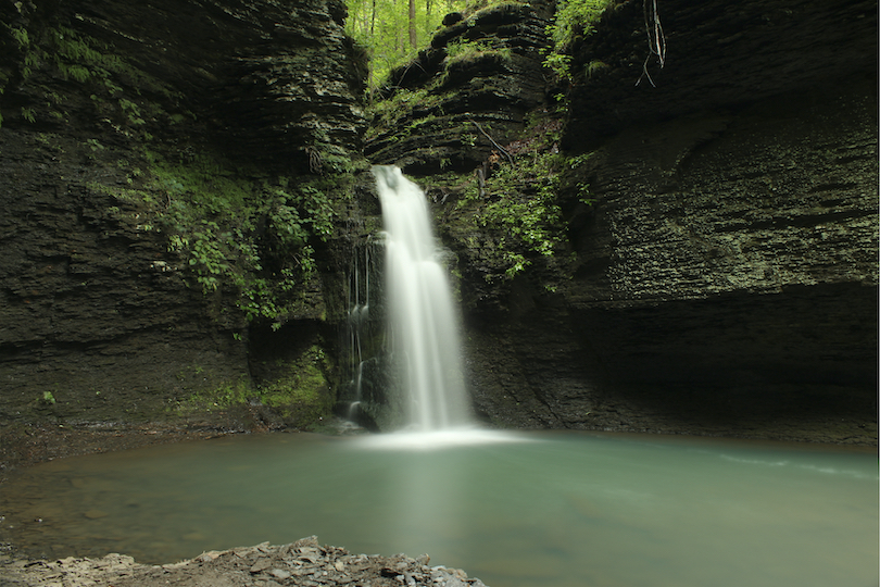 Ozark National Forest