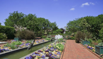 Daniel Stowe Botanical Garden