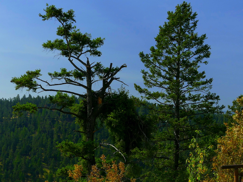 Lone Pine State Park