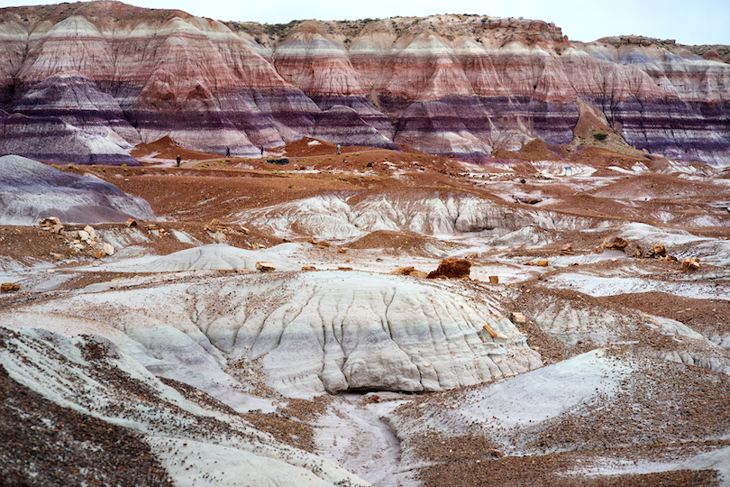 Petrified Forest National Park