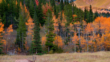 Best National Parks in Colorado