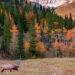 Best National Parks in Colorado