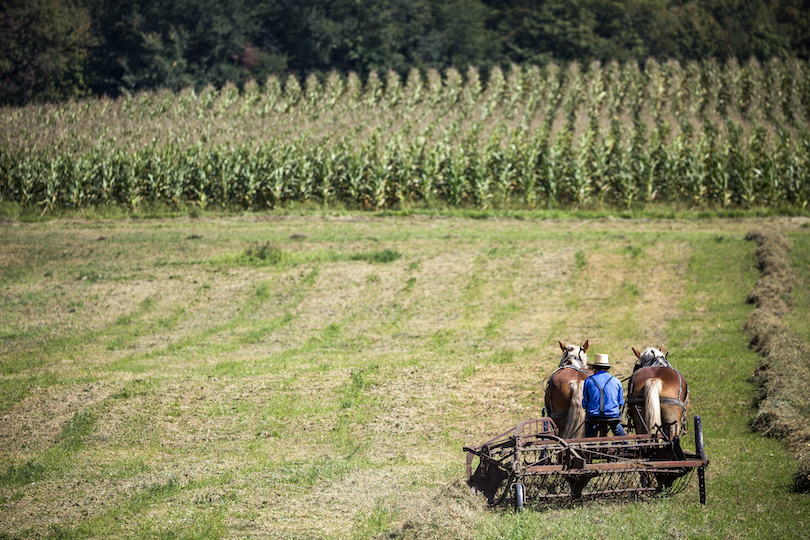 Amish Country