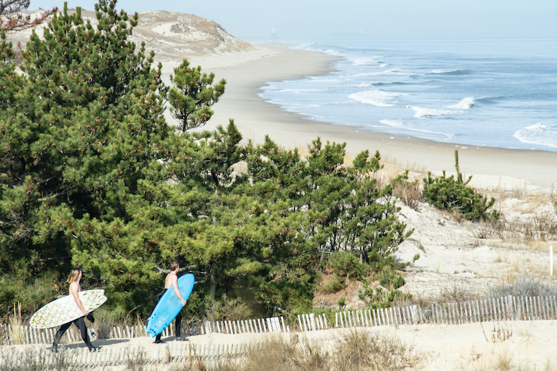 Cape Henlopen State Park