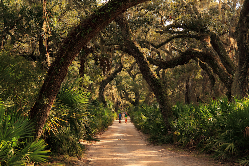 Cumberland Island National Seashore