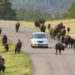 Best Places to Visit in South Dakota