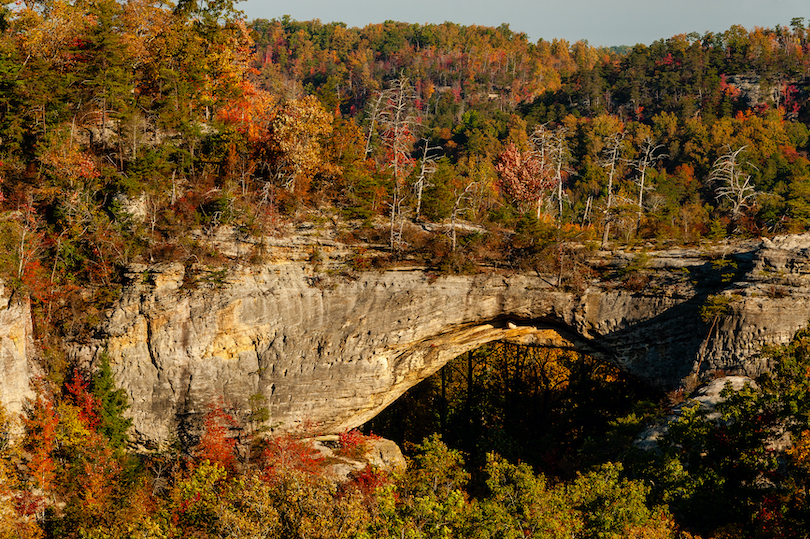 Daniel Boone National Forest