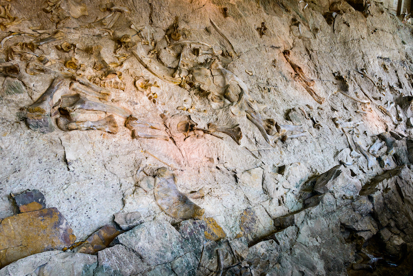 Dinosaur National Monument