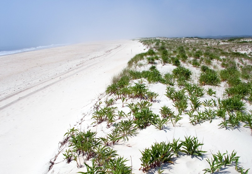 Fenwick Island State Park