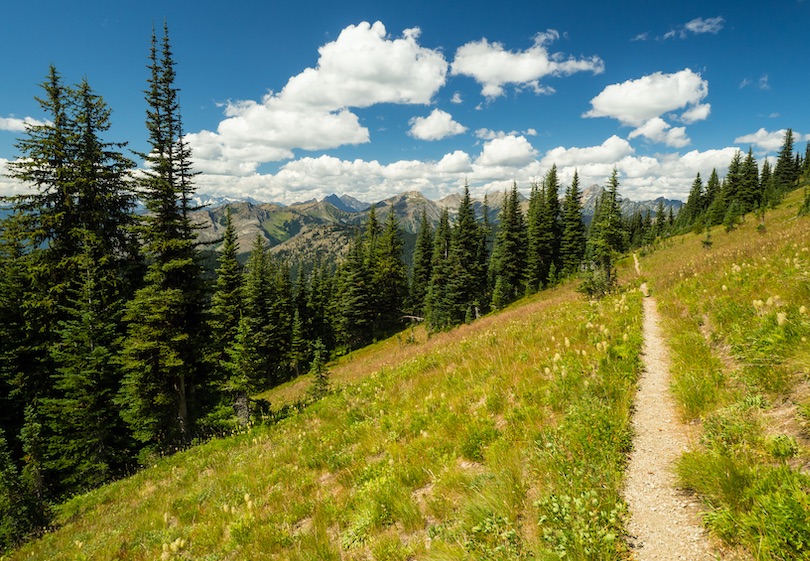 Pacific Crest Trail