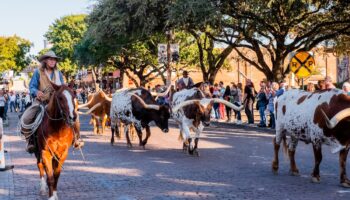 Fort Worth