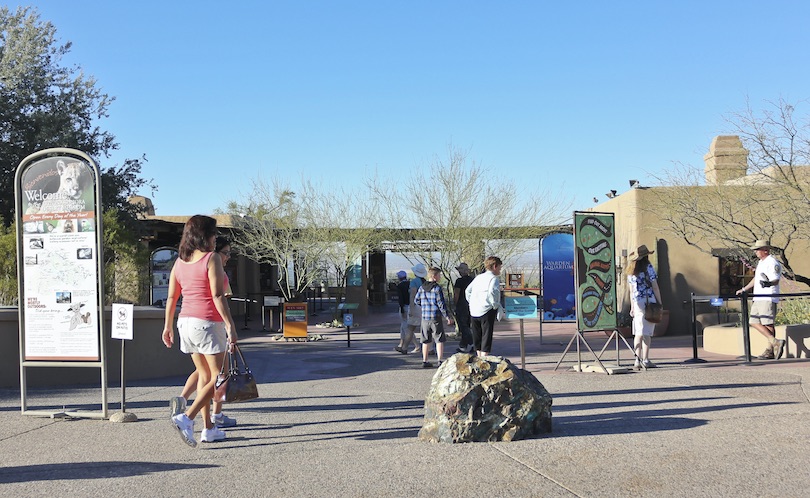 Museo del Desierto de Arizona-Sonora