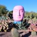 Best Things to do in Phoenix, Arizona