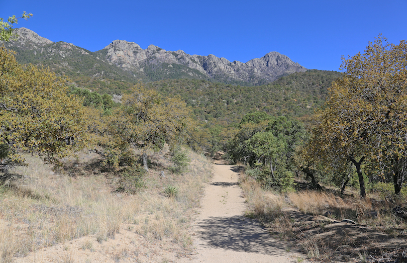 Madera Canyon