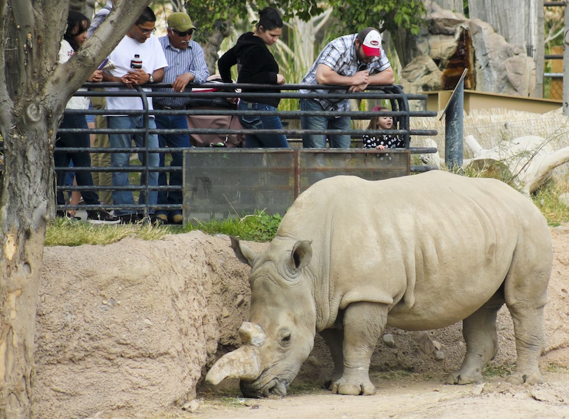 Reid Park Zoo