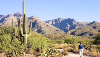 Best Things to Do in Tucson, Arizona