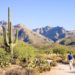 Best Things to Do in Tucson, Arizona