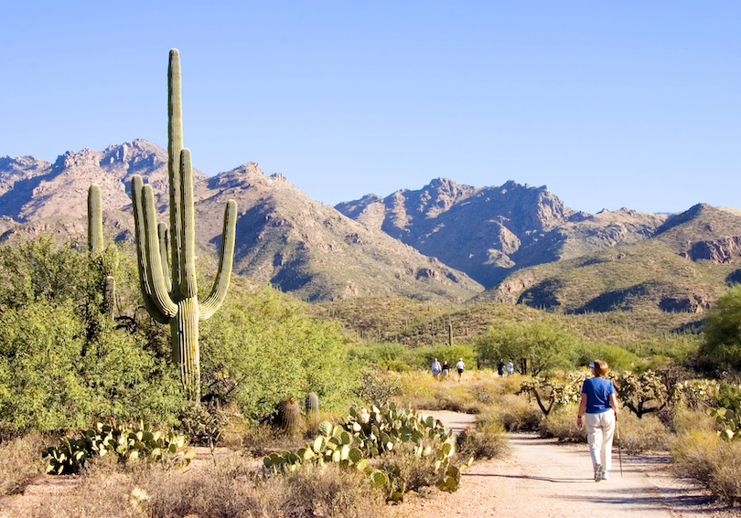 Sabino Canyon