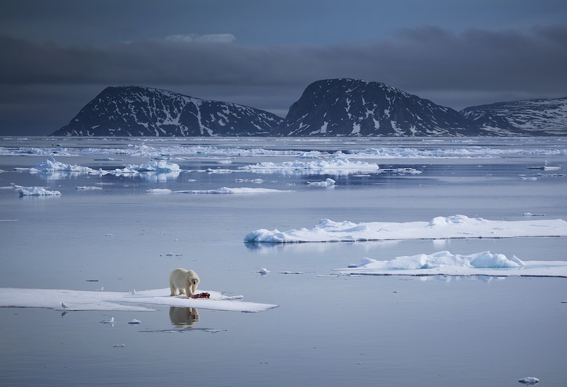 Svalbard