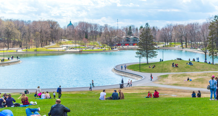Best Things to Do in Montreal