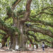 Best Things to do in Charleston, SC