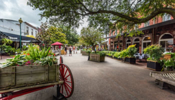 City Market