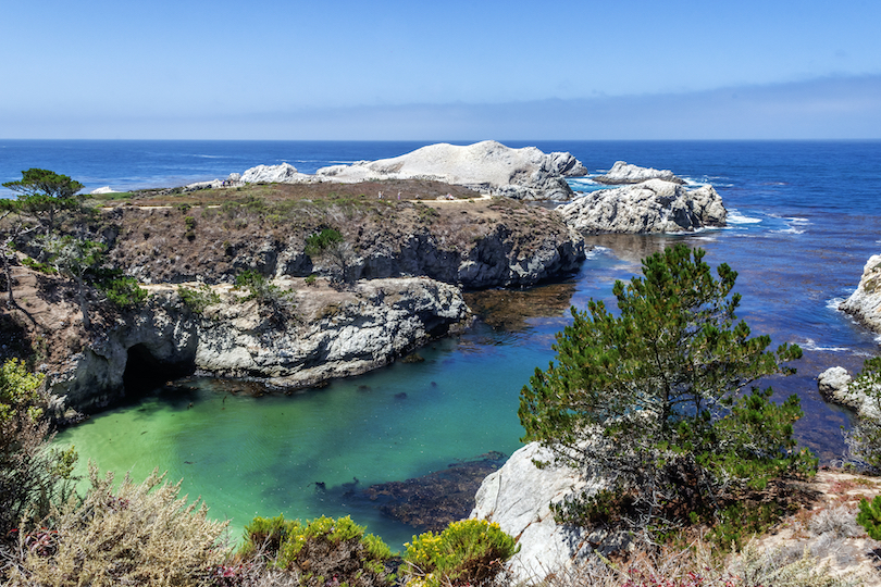 Point Lobos State Natural Reserve