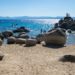 Best Things to Do in Lake Tahoe