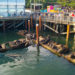 Things to Do in Newport, Oregon